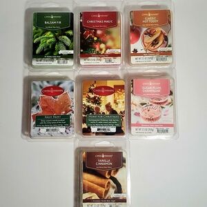 Holiday Wax Melts Bundle of 7 by CANDLE WARMERS (7) 2.5 oz. Pkgs. Holiday Scents